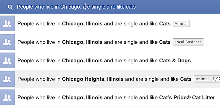 A search for people who like cats on Facebook