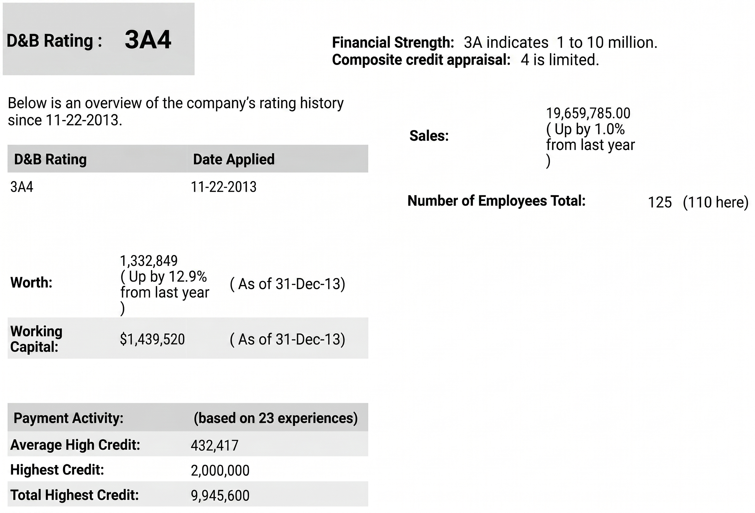 D&B business credit report showing company rating, financial strength, sales data, and payment history used in background verification and corporate due diligence