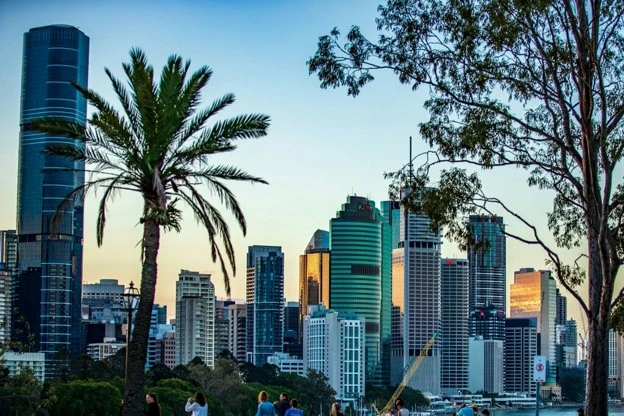 Modern city skyline at sunset with palm trees in foreground.